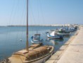 /album/marsala-2010/img-0063-jpg1/
