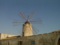 /album/marsala-20101/a3691014-jpg/